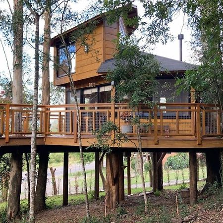 Casa Na Arvore Morada Dos Vagalumes Farroupilha Bagian luar foto